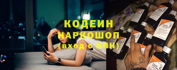 эйфоретик Богданович