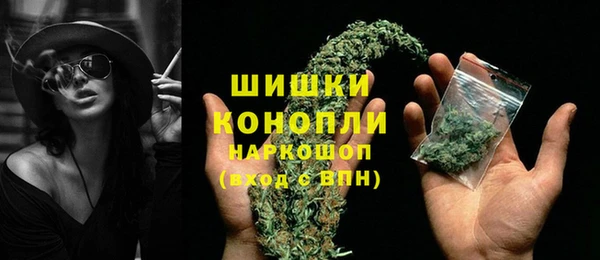 эйфоретик Богданович