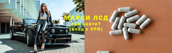эйфоретик Богданович