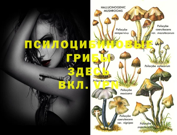 эйфоретик Богданович