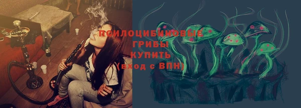 эйфоретик Богородск