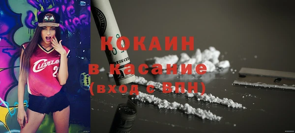 эйфоретик Богданович