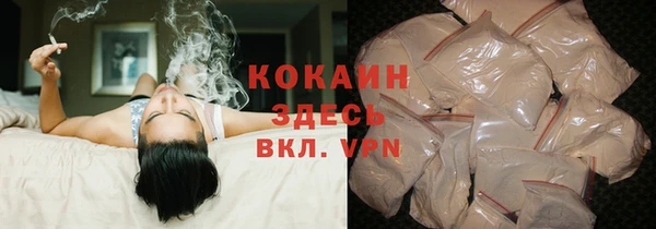 эйфоретик Богданович
