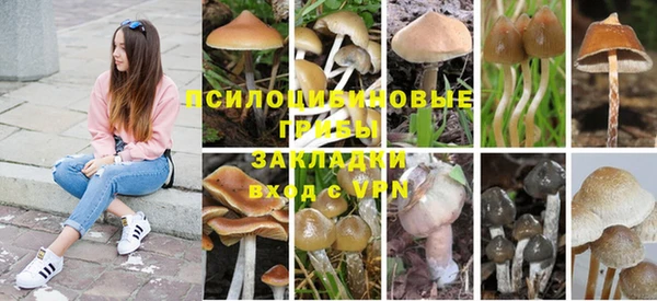 эйфоретик Богданович