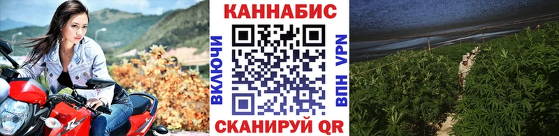 Шишки марихуана Bruce Banner  хочу   Киреевск 